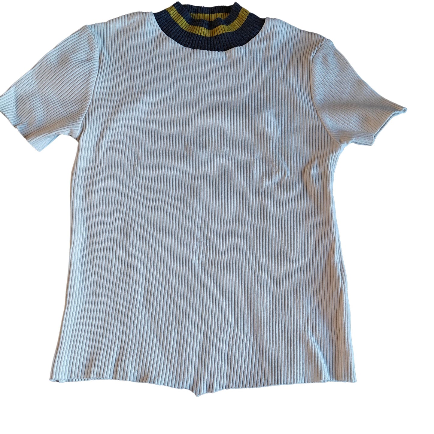 Ivory Mock Turtleneck Crop Top