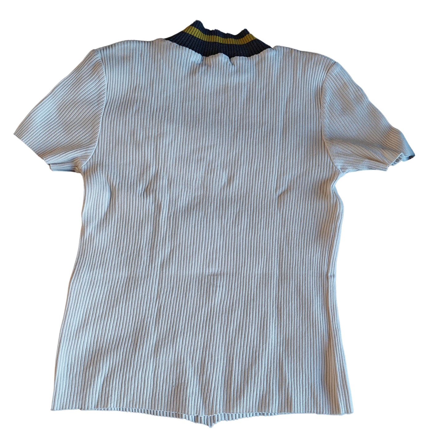Ivory Mock Turtleneck Crop Top